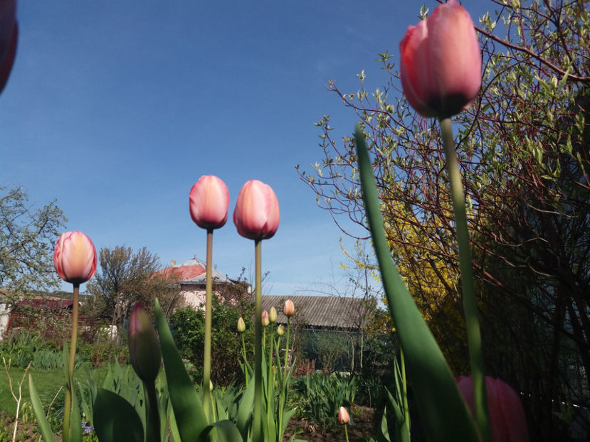 Picture 141 - Un nou inceput -2017