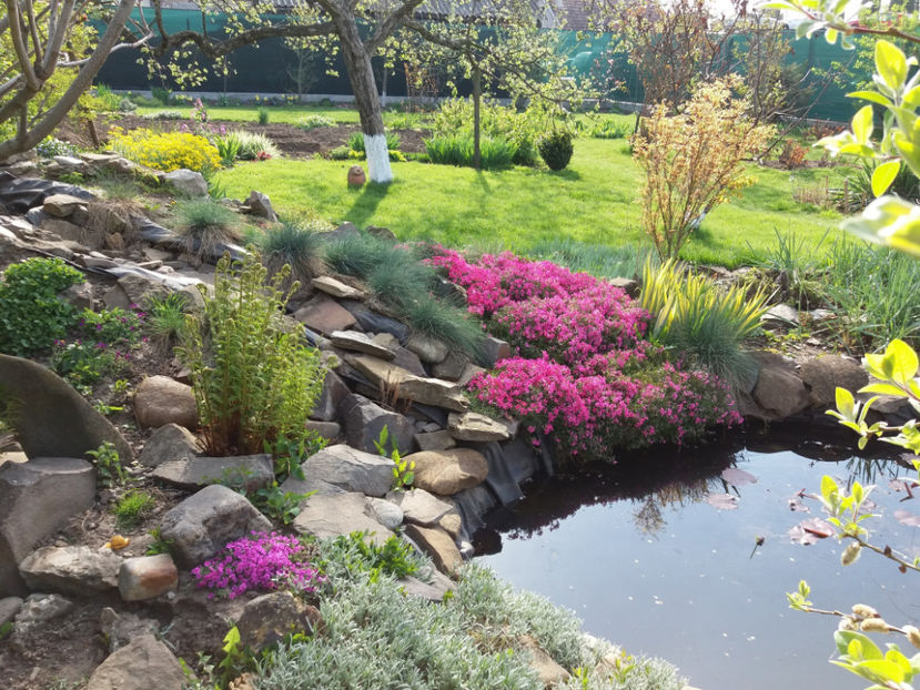 Picture 149 - Un nou inceput -2017