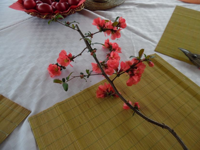  - 000 Aprilie in gradina