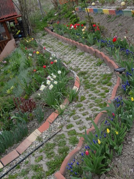  - Mon Jardin prinde contur