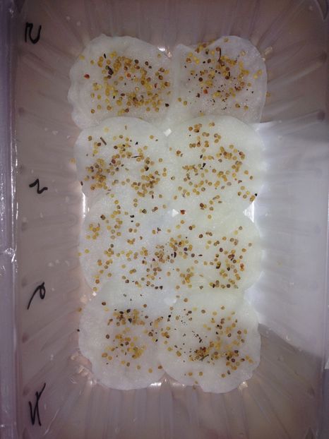  - Achizitii FLORI 2017