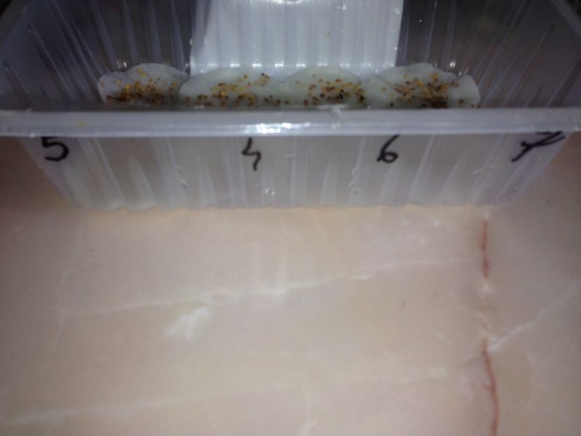  - Achizitii FLORI 2017