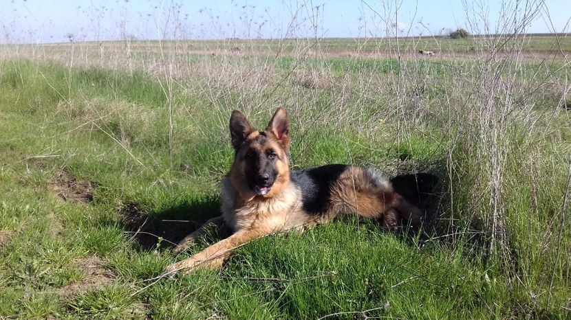 ARKA la 4 luni si 2 saptamani - ARKA si ARES