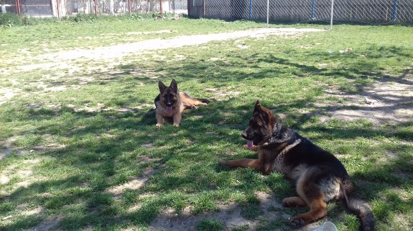 ARKA si ARES - ARKA si ARES