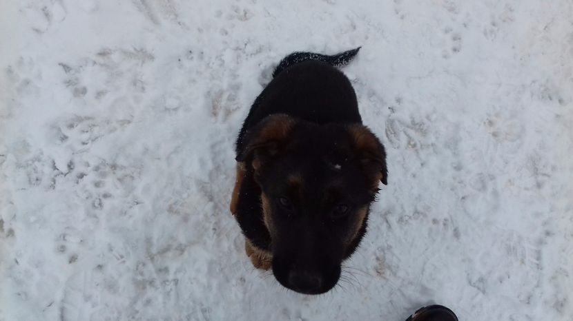 ARES la 2 luni - ARKA si ARES