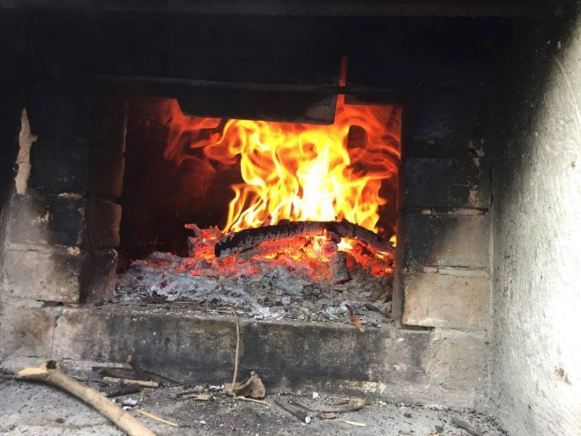  - 2017 GRADINA PRIMAVARA