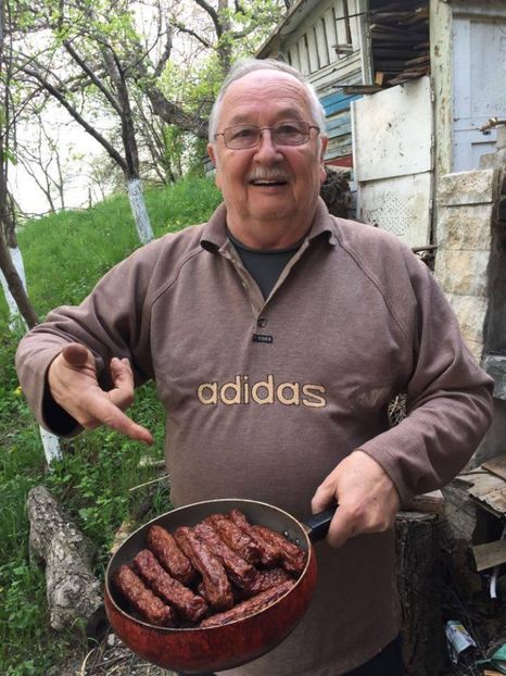  - 2017 GRADINA PRIMAVARA