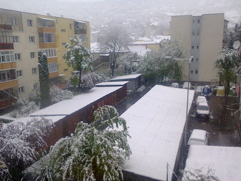 Fotografie2463 - 2017 PRIMAVARA aprilie 20