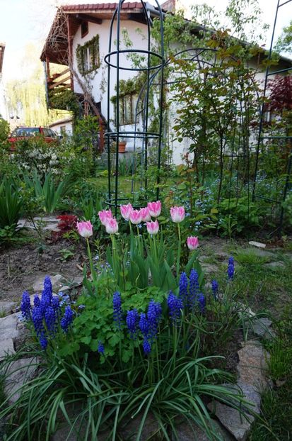  - 2017 Gradina