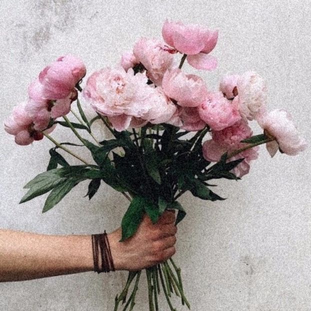 « P E O N I E S | for ❀Karina✔ - as free as the ocean