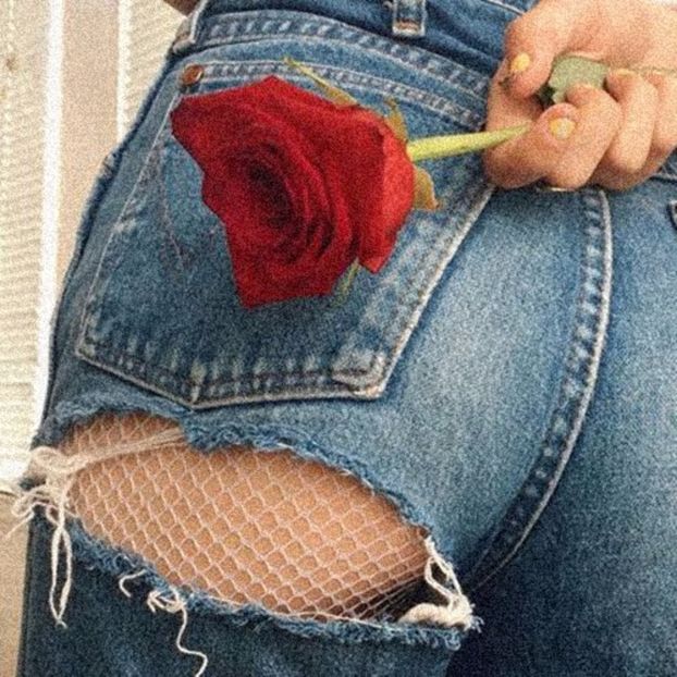 « R O S E S | for ❀staywithusrp✔ - as free as the ocean