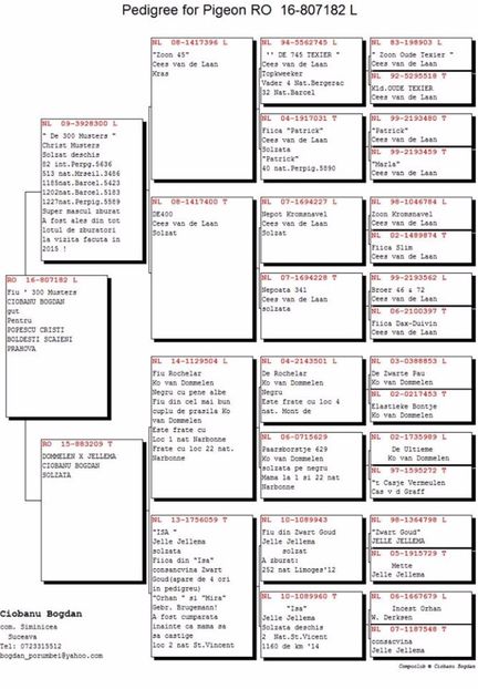 FIU 300-FIICA ROCHELAR CU ISA - Perechea nr 16