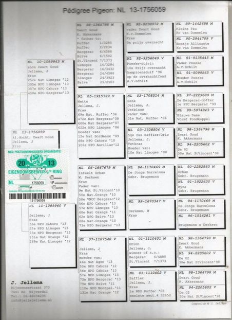 PEDIGREE ISA - Perechea nr 16