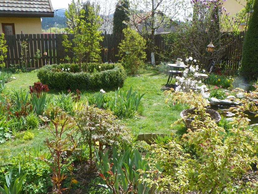18 apr (2) - Gradina 2017