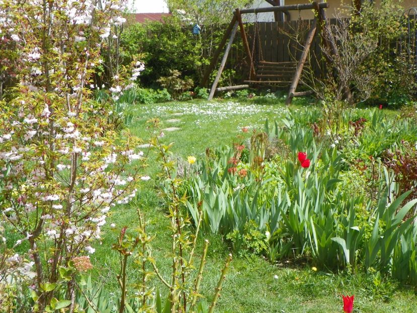 18 apr (3) - Gradina 2017
