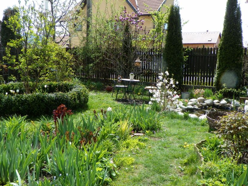 18 apr (5) - Gradina 2017