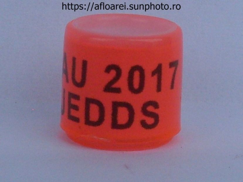 AU 2017 JEDDS - AMERICA