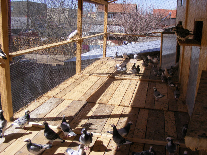  - LOCUL UNDE MA RELAXEZ ZILNIC