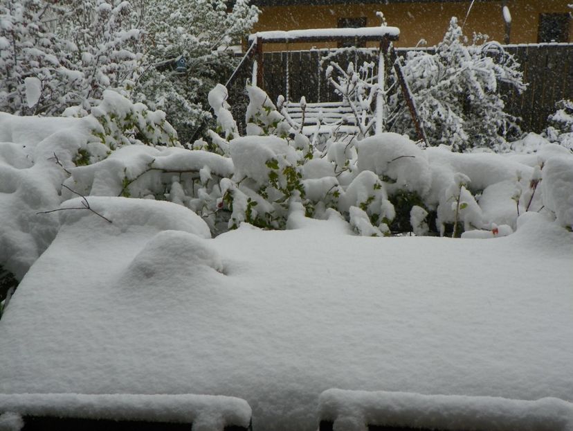 iar aici ingerasul de piatra - Iarna in aprilie