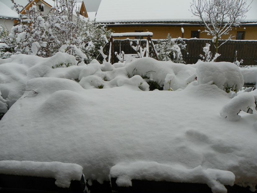 21 apr (7) - Iarna in aprilie