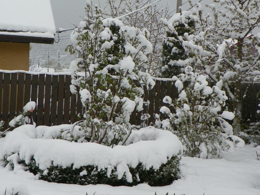 21 apr (12) - Iarna in aprilie