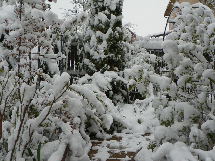 21 apr (13) - Iarna in aprilie