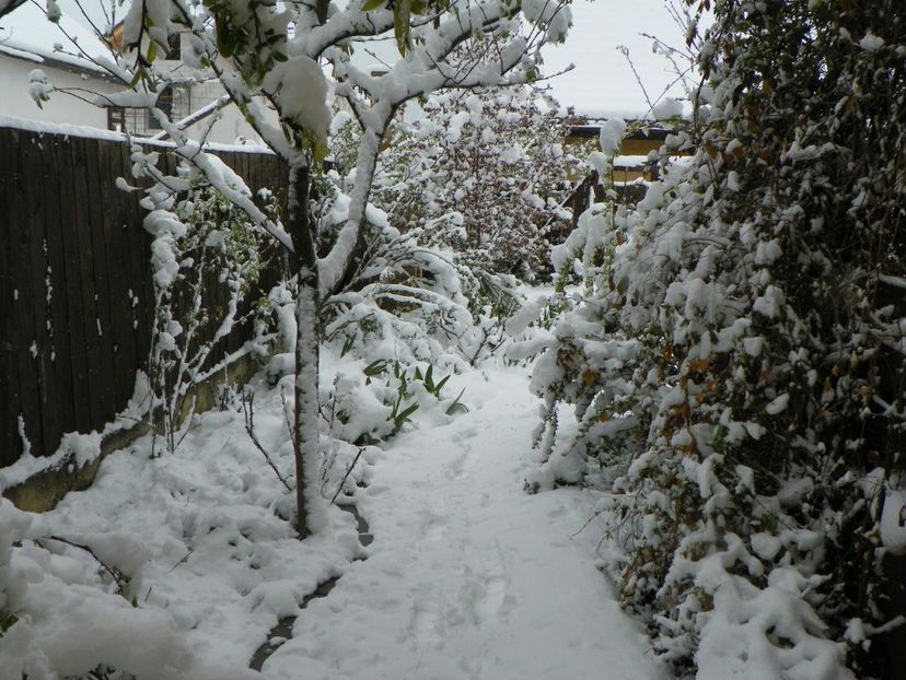 21 apr (35) - Iarna in aprilie