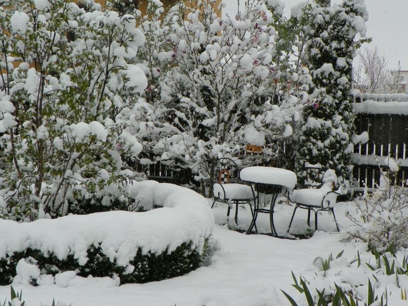 21 apr (38) - Iarna in aprilie