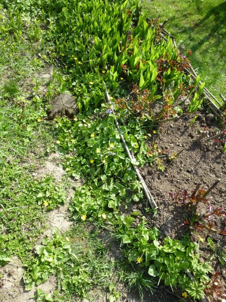 P1090858 - 001 11 04 2017