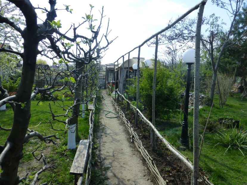 P1090839 - 001 11 04 2017