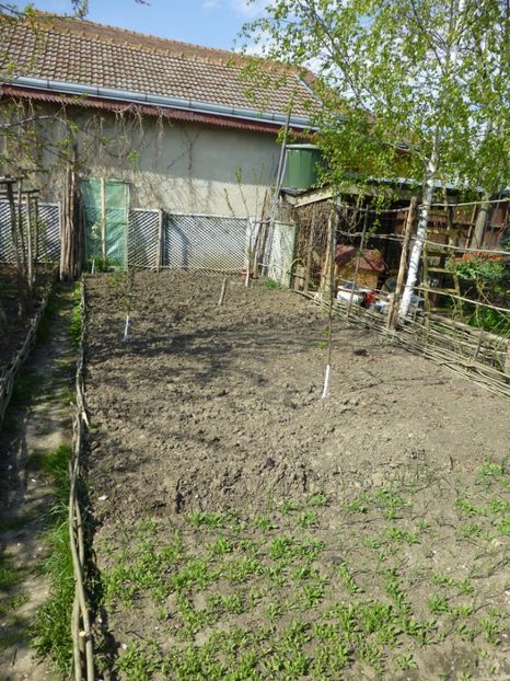 P1090865 - 001 11 04 2017