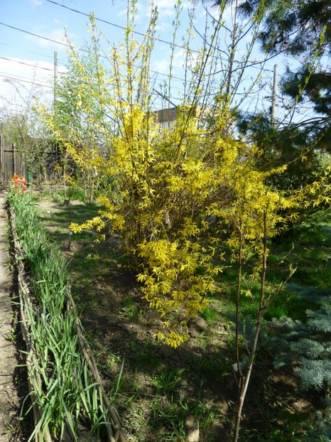 P1090873 - 001 11 04 2017