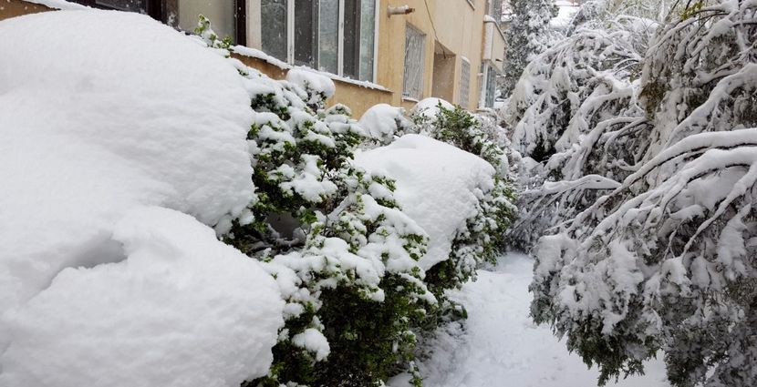 Primăvară sau iarnă? - z Prin oras si prin imprejurimi