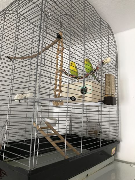 image - Perusii mei 2017