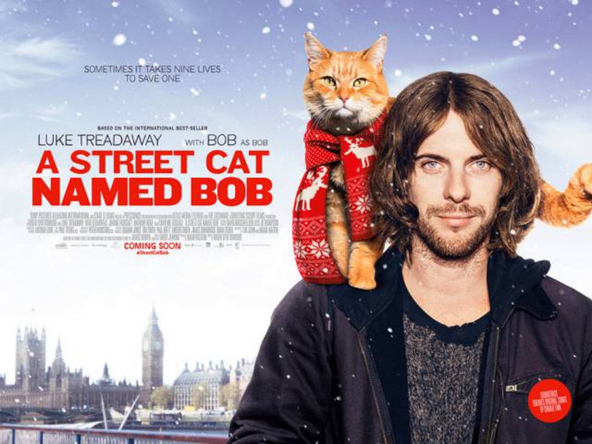 A Street Cat Named Bob (2016) vazut de mine - 00 Ultimul film sau serial vizionat de tine