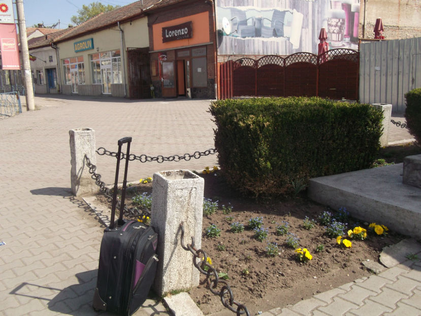 si flori frumoase - Sarbatoarea Pastelui_2017