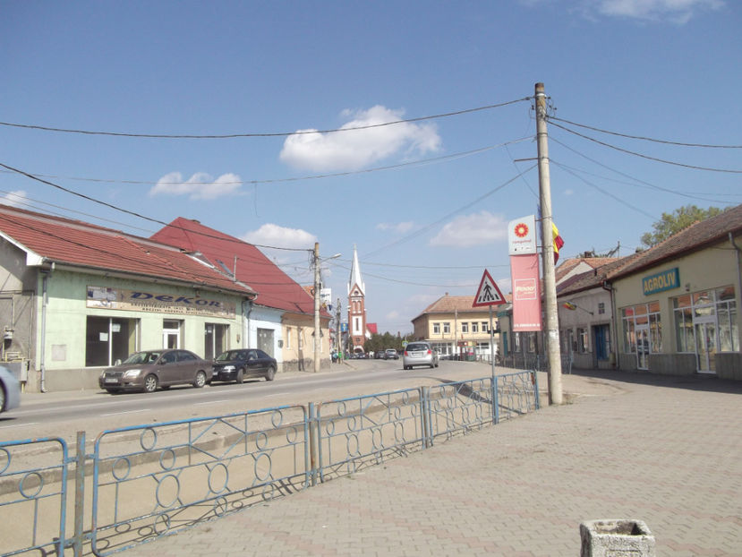 centrul Ludusului - Sarbatoarea Pastelui_2017