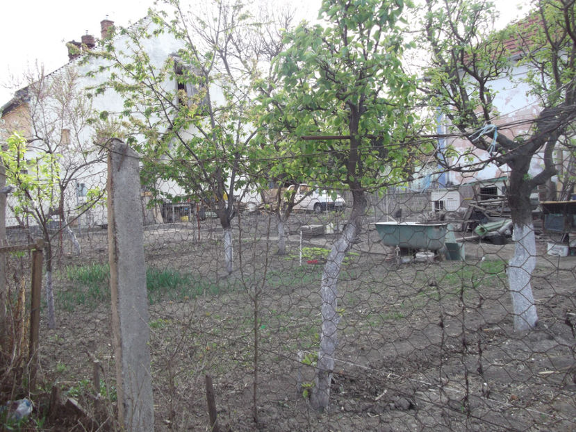  - Sarbatoarea Pastelui_2017