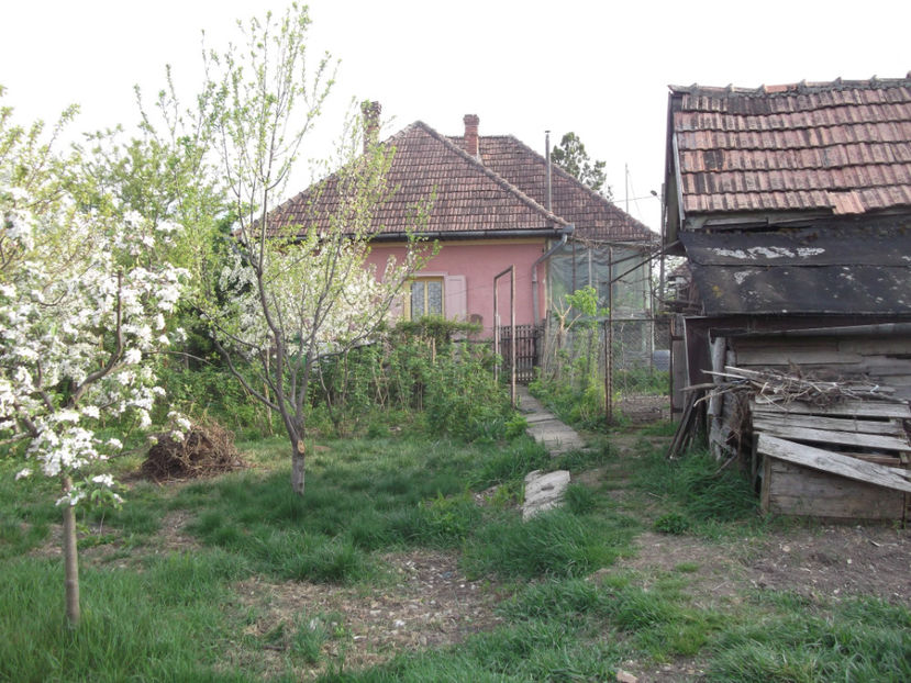 casa vazuta din gradina.. - Sarbatoarea Pastelui_2017