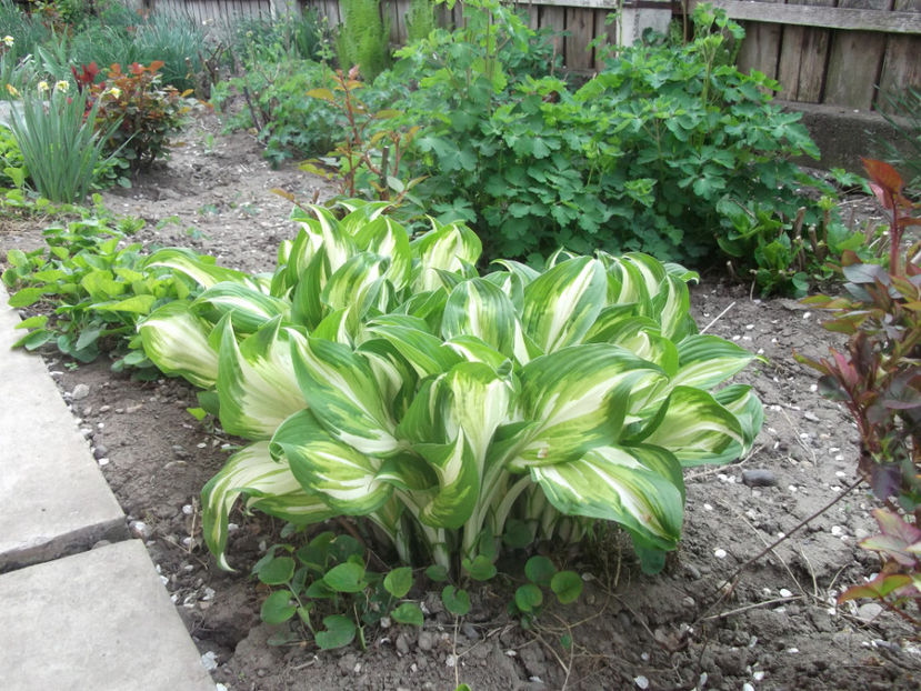  - Sarbatoarea Pastelui_2017