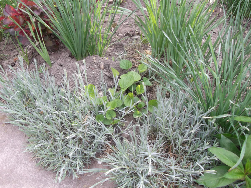  - Sarbatoarea Pastelui_2017