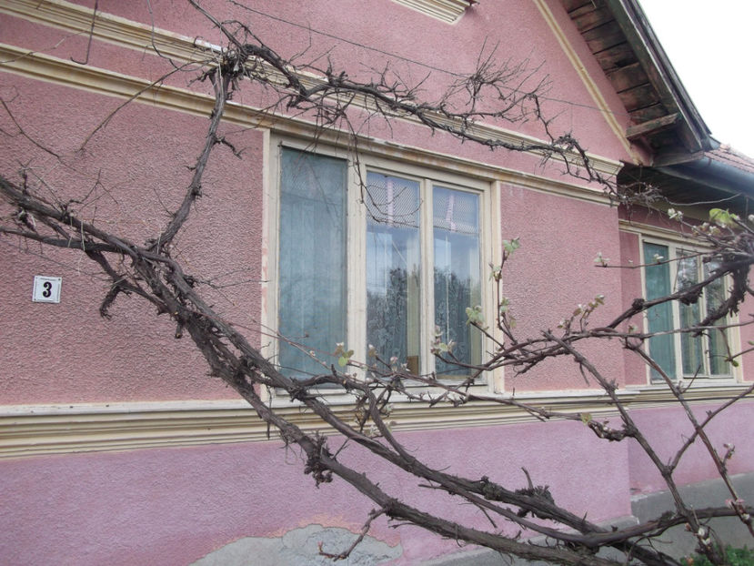  - Sarbatoarea Pastelui_2017