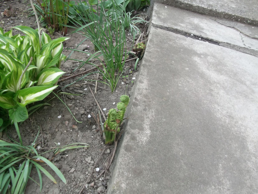  - Sarbatoarea Pastelui_2017