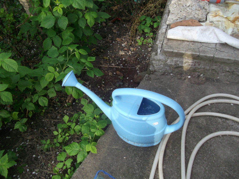  - Sarbatoarea Pastelui_2017