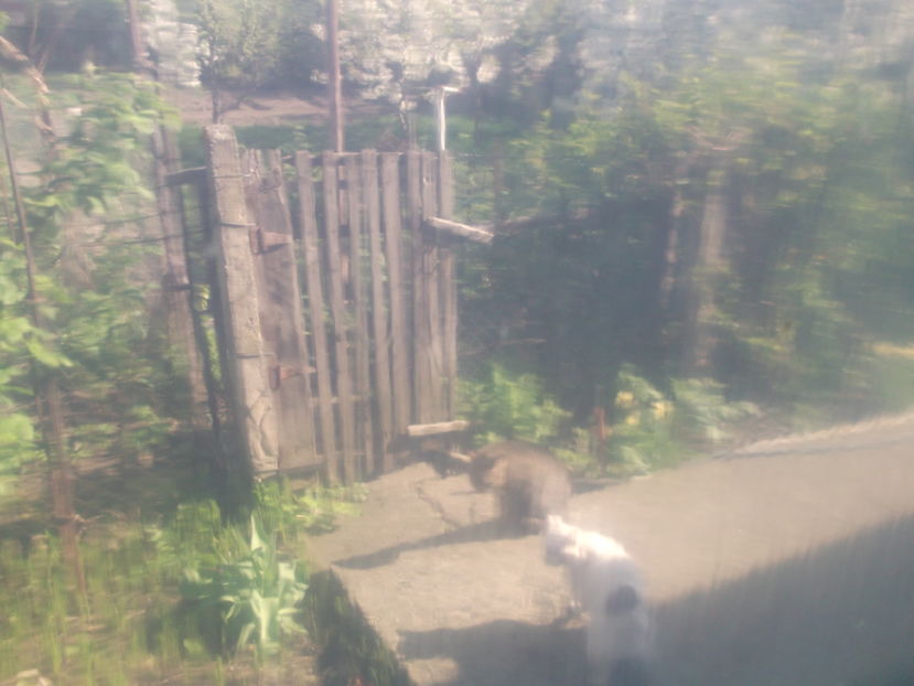  - Sarbatoarea Pastelui_2017