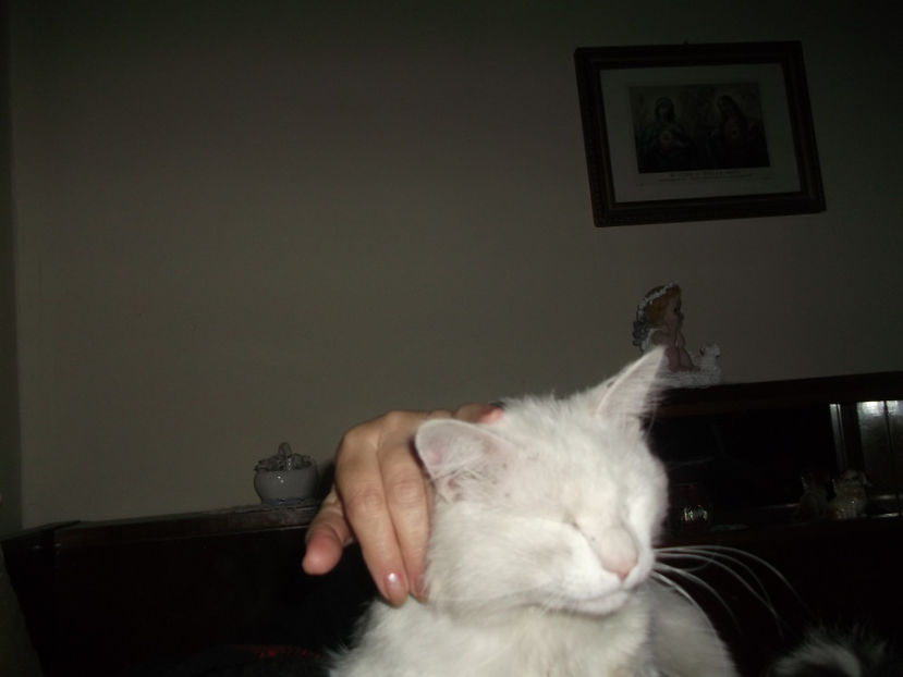  - Sarbatoarea Pastelui_2017