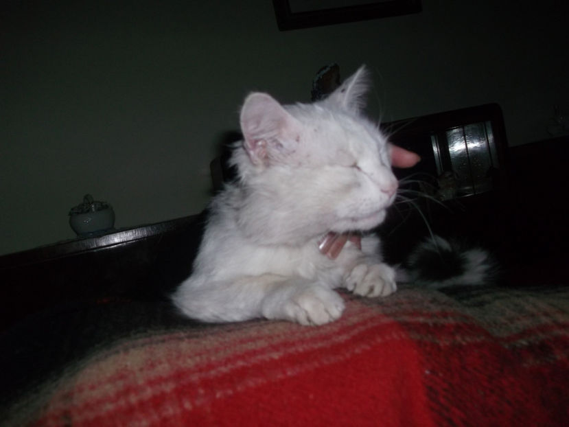  - Sarbatoarea Pastelui_2017