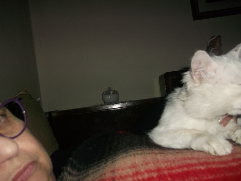  - Sarbatoarea Pastelui_2017