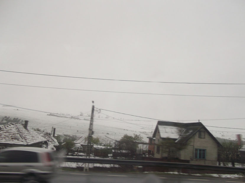  - Sarbatoarea Pastelui_2017