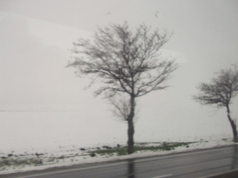  - Sarbatoarea Pastelui_2017